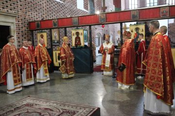 IMG_9353