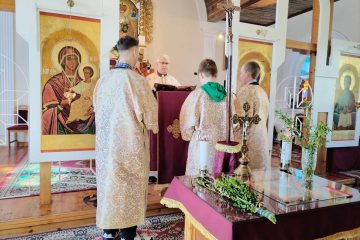 dd13c5e3-564f-4ff2-b67d-8b600e93d5af