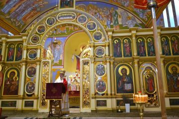 Palmowa-03