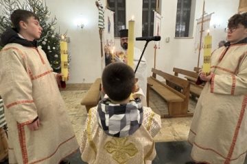 IMG_8782
