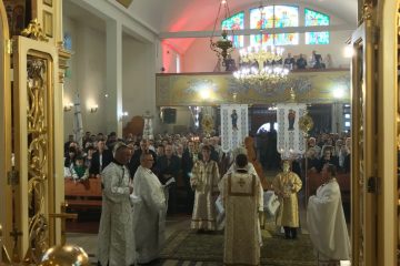 Tekst akapitu - 31 Tekst akapitu - 31